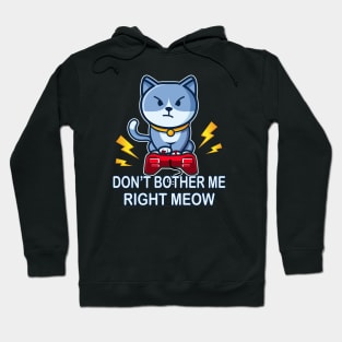 Gaming Cat funny Gamer Gifts Hoodie